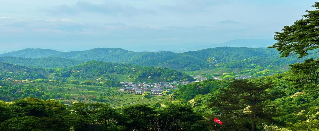 集团组织员工梅家坞登山比赛(图2)
